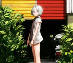 Rule 34 | 1girl, blue eyes, bracelet, building, drawstring, feet out of frame, highres, jewelry, license plate, looking at viewer, motor vehicle, motorcycle, original, outdoors, plant, sara manta, short hair, short sleeves, solo, white hair