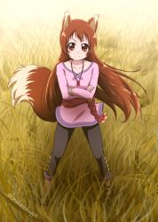 Rule 34 | 1girl, absurdres, animal ears, black pants, blouse, brown hair, capri pants, closed mouth, collarbone, cosplay, crossed arms, day, dokidoki! precure, floating hair, full body, highres, holo, holo (cosplay), long hair, long sleeves, looking at viewer, madoka aguri, nita (onakatohoppe), outdoors, pants, pink shirt, pouch, precure, red eyes, shirt, smile, solo, spice and wolf, standing, tail, twitter username, v-shaped eyebrows, very long hair, wolf ears, wolf tail
