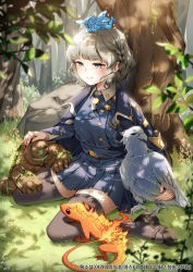 Rule 34 | 1girl, animal, bird, black footwear, blue jacket, blue shirt, blue skirt, braid, breasts, closed mouth, commentary request, copyright request, day, fairy, fire, flame-tipped tail, forest, golem, grey eyes, grey hair, grey thighhighs, jacket, jacket on shoulders, korean commentary, korean text, long sleeves, menna (0012), nature, on head, outdoors, pleated skirt, shirt, shoes, sitting, skirt, small breasts, smile, solo, thick eyebrows, thighhighs, translation request, tree, wariza