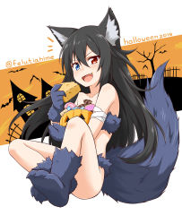 Rule 34 | 1boy, animal ears, artist name, ass, bare shoulders, bellezza felutia, black hair, blue eyes, blush, candy, cheese, collarbone, commentary request, cosplay, fang, felutiahime, food, fur, halloween, heterochromia, highres, long hair, looking at viewer, male focus, original, red eyes, skin fang, solo, tail, trap, trick or treat, wolf ears, wolf tail