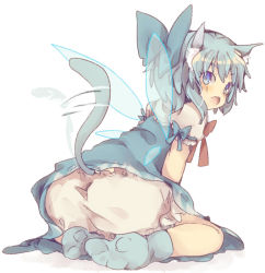 Rule 34 | 1girl, animal ears, ass, bad id, bad pixiv id, bloomers, blue eyes, blue hair, blue socks, bow, cat ears, cat tail, cirno, hair bow, kemonomimi mode, looking at viewer, looking back, masirosu, matching hair/eyes, open mouth, short hair, simple background, sitting, socks, solo, tail, tail wagging, touhou, underwear, upskirt, wariza, wings