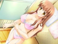 Rule 34 | 1girl, ane hame, ane hame!, ayakaze ryuushou, bathroom, blush, bra, breasts, brown hair, cleavage, dutch angle, from above, game cg, garter belt, hirano kasumi, lace, lace bra, lace panties, large breasts, lingerie, long hair, navel, panties, pink bra, pink panties, smile, solo, standing, thigh gap, thighhighs, towel, underwear, underwear only, yellow eyes