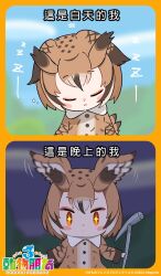 Rule 34 | 1girl, bird girl, bird tail, bird wings, brown hair, chinese text, closed mouth, coat, comic, eurasian eagle owl (kemono friends), gloves, highres, kemono friends, kemono friends 3, kurokw, looking at viewer, official art, orange eyes, short hair, sleeping, solo, tail, wand, wings