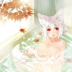 Rule 34 | 1girl, animal ears, bathing, breasts, day, hands up, hat, indoors, inubashiri momiji, large breasts, leaf, looking at viewer, nude, open mouth, partially submerged, red eyes, smile, solo, swimsuit, touhou, transpot nonoko, water, white hat, wolf ears