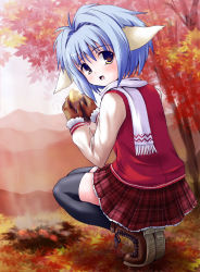 Rule 34 | 00s, 1girl, animal ears, blue hair, blush, galaxy angel, gloves, green eyes, looking at viewer, looking back, miniskirt, mint blancmanche, outdoors, short hair, skirt, smile, solo, squatting, thighhighs, tree, yellow eyes, zettai ryouiki