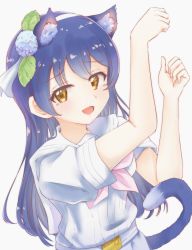 Rule 34 | 1girl, animal ears, blue hair, blush, cat ears, cat tail, commentary request, hair between eyes, highres, kemonomimi mode, long hair, looking at viewer, love live!, love live! school idol project, omoi seiji, open mouth, paw pose, short sleeves, simple background, solo, sonoda umi, tail, white background, yellow eyes