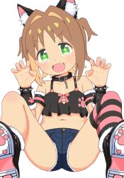 1girl animal_ears black_choker blush brown_hair cat_ears chain choker collar denim denim_shorts highres multicolored_hair oka_asahi onii-chan_wa_oshimai! open_mouth paw_pose shoes shorts simple_background sneakers solo tarupikox1 teeth two-tone_hair underwear white_background