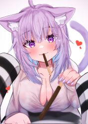 1girl ahoge animal_ears breasts cat_ears cat_tail cleavage food food_in_mouth heart highres hololive nekomata_okayu nekomata_okayu_(oversized_shirt) onigirya_(nekomata_okayu) pocky pocky_day pocky_in_mouth pov purple_eyes purple_hair purple_nails shiemika324 shirt tail virtual_youtuber white_shirt