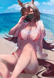 Rule 34 | 1girl, absurdres, animal ears, arm support, bikini, black mask, bra visible through clothes, breasts, brown hair, highres, horse ears, horse girl, large breasts, long hair, mask, pasuo, red bikini, red eyes, see-through, shirt, sirius symboli (umamusume), sitting, solo, swimsuit, tail, umamusume, very long hair, wet, wet clothes, wet shirt