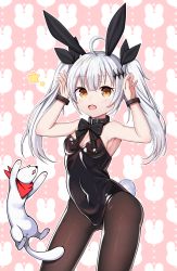 Rule 34 | 1girl, :d, absurdres, aged down, ahoge, animal, animal ears, armpits, arms up, bandana, bare arms, bare shoulders, belt, belt buckle, belt collar, black belt, black bow, black leotard, black neckwear, black ribbon, blush, bow, bowtie, bracelet, breasts, brown eyes, brown pantyhose, buckle, cleavage, collar, commentary request, contrapposto, covered navel, fake animal ears, fingernails, five-seven (girls&#039; frontline), girls&#039; frontline, hair between eyes, hair ornament, hair ribbon, highres, horns pose, jewelry, legs apart, leotard, long hair, looking at viewer, open mouth, pantyhose, pink background, playboy bunny, rabbit background, rabbit ears, rabbit tail, red bandana, ribbon, round teeth, shiny clothes, sidelocks, small breasts, smile, standing, star (symbol), starfox1015, tail, teeth, twintails, white hair