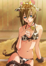 Rule 34 | 1girl, animal ears, animal print, aqua eyes, artist name, artist request, bare shoulders, bell, bikini, black bow, blue eyes, blush, bow, breasts, brown hair, cleavage, collar, collarbone, cow ears, cow horns, cow print, cow print bikini, cow print thighhighs, cow tail, fake horns, female focus, front-tie bikini top, front-tie top, fur-trimmed legwear, fur trim, hair between eyes, hair bow, half-closed eyes, half updo, high ponytail, horns, indoors, long hair, looking at viewer, love live!, love live! nijigasaki high school idol club, nail, nail polish, neck bell, osaka shizuku, parted lips, pink nails, ponytail, print bikini, red bow, red collar, sitting, small breasts, smile, solo, string bikini, swimsuit, tail, white bikini