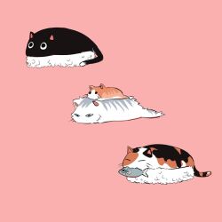 Rule 34 | :3, animal focus, black cat, calico, cat, closed eyes, commentary, english commentary, fish (food), food, food focus, half-closed eyes, looking ahead, mimi n, mouth hold, nigirizushi, no humans, original, red background, rice, simple background, sushi