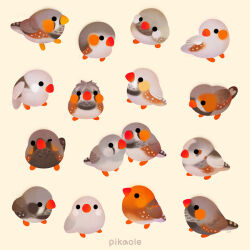 Rule 34 | animal, animal focus, artist name, bird, black eyes, commentary, english commentary, finch, no humans, one eye closed, original, pikaole, simple background, solid circle eyes, watermark, yellow background, zebra finch