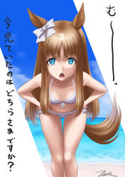 Rule 34 | 1girl, animal ears, beach, bikini, blue eyes, blue sky, bow, breasts, brown hair, cloud, commentary request, day, ear bow, feet out of frame, frilled bikini, frills, grass wonder (umamusume), hair bow, highres, horizon, horse ears, horse girl, horse tail, leaning forward, long hair, looking at viewer, multicolored hair, ocean, outdoors, side-tie bikini bottom, sky, small breasts, solo, swimsuit, t2r, tail, translation request, umamusume, white bikini, white bow