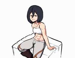Rule 34 | 1girl, abs, asian, black hair, breasts, censored, mikasa ackerman, muscular, muscular female, plow (witch parfait), shingeki no kyojin, small breasts, white background