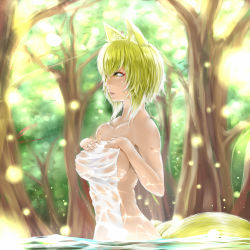 Rule 34 | 1girl, animal ears, bad id, bad pixiv id, blonde hair, breasts, collarbone, covering privates, forest, fox ears, fox tail, large breasts, moku., naked towel, nature, nude cover, sideboob, solo, tail, touhou, towel, wading, yakumo ran, yellow eyes