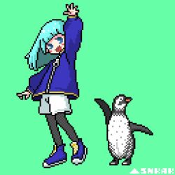 Rule 34 | 1girl, animal, aqua hair, arm up, artist name, bird, black pantyhose, blue eyes, blue footwear, blue jacket, blush stickers, dithering, full body, green background, hashtag only commentary, jacket, long hair, long sleeves, looking at viewer, open mouth, original, pantyhose, pantyhose under shorts, penguin, pixel art, shoes, shorts, simple background, smile, snkak (snkakdot), solo, standing, waving, white shorts, zipper, zipper pull tab