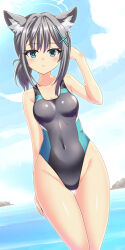 Rule 34 | 1girl, animal ear fluff, animal ears, black one-piece swimsuit, blue archive, blue eyes, blue sky, breasts, cloud, commentary request, competition swimsuit, covered navel, cowboy shot, cross hair ornament, day, extra ears, grey hair, hair ornament, halo, highres, hizuki aki, horizon, low ponytail, medium breasts, medium hair, mismatched pupils, multicolored clothes, multicolored swimsuit, ocean, one-piece swimsuit, outdoors, shiroko (blue archive), shiroko (swimsuit) (blue archive), sky, solo, swimsuit, water