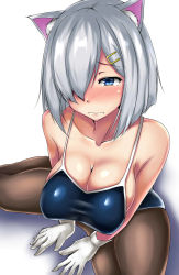 Rule 34 | 1girl, animal ears, bad id, bad twitter id, black pantyhose, blue eyes, blue one-piece swimsuit, blush, cat ears, competition school swimsuit, gloves, hair between eyes, hair ornament, hair over one eye, hairclip, hamakaze (kancolle), kantai collection, kemonomimi mode, looking at viewer, one-piece swimsuit, panties, pantyhose, pantyhose under swimsuit, school swimsuit, shadow, silver hair, simple background, swimsuit, terakoya, twitter username, underwear, wavy mouth, white gloves