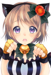 Rule 34 | 10s, 1girl, animal ears, bell, blush, bow, breasts, brown hair, cat ears, cleavage, fake animal ears, fingerless gloves, flower, gloves, hair bow, hair flower, hair ornament, hairband, jingle bell, koizumi hanayo, looking at viewer, love live!, love live! school idol project, open mouth, paw pose, peke (xoxopeke), purple eyes, short hair, simple background, solo, striped, vertical stripes, white background