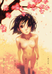 Rule 34 | 1girl, black hair, breasts, brown eyes, cherry blossoms, flat chest, from above, hair over one eye, looking up, lowres, navel, nishimura eri, no nipples, nude, original, petals, short hair, skinny, small breasts, solo, translation request, wind