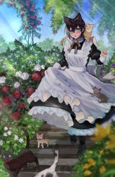 Rule 34 | 1girl, :o, animal, animal ears, animal on shoulder, apron, bad id, bad pixiv id, bell, black cat, black dress, black footwear, black hair, black ribbon, blue eyes, blue flower, blue sky, blurry, boots, cat, cat ears, cat girl, cat on shoulder, clothes grab, cross-laced footwear, day, depth of field, dress, flower, full body, hair between eyes, hand up, highres, jingle bell, juliet sleeves, lace-up boots, light particles, long sleeves, looking at viewer, maid, maid apron, neck bell, neck ribbon, original, outdoors, paw print, plant, potted plant, puffy sleeves, purple flower, purple rose, red flower, red rose, ribbon, rose, shino yoshihisa, short hair, skirt hold, sky, solo, stairs, sunlight, walking, white apron, white flower, white rose, yellow flower