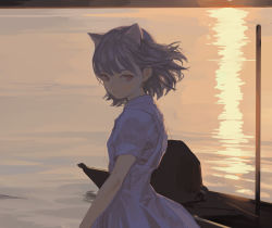 Rule 34 | 1girl, animal ears, artist name, canoe, cat ears, dress, feiqizi (fkey), fkey, highres, looking at viewer, looking to the side, original, pink eyes, shadow, short hair, short sleeves, solo, sunset, upper body, water, white hair