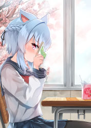Rule 34 | 1girl, absurdres, animal ears, black pantyhose, black ribbon, black sailor collar, black skirt, blue eyes, blush, braid, branch, cat ears, chair, cherry blossoms, desk, drinking straw, flower, from side, hair between eyes, hair ribbon, half updo, hands up, highres, holding, indoors, long sleeves, looking at viewer, looking to the side, neckerchief, on chair, original, pantyhose, pink flower, pleated skirt, red eyes, red neckerchief, ribbon, sailor collar, school chair, school desk, school uniform, serafuku, shirt, sitting, skirt, solo, sora (silent square), sweat, white shirt, window