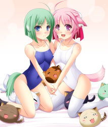 Rule 34 | 10s, 2girls, ahoge, animal ears, black legwear, blue eyes, breasts, bun cover, cat, competition school swimsuit, covered erect nipples, covered navel, dog days, dog ears, dog girl, dog tail, eclair martinozzi, green hair, highres, md5 mismatch, millhiore f. biscotti, multiple girls, narutaki shin, one-piece swimsuit, pink hair, purple eyes, school swimsuit, short hair, small breasts, socks, swimsuit, tail, thighhighs, white legwear, white one-piece swimsuit, white school swimsuit, yuri