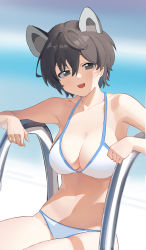 Rule 34 | 1girl, absurdres, animal ears, bare shoulders, bikini, black eyes, black hair, blue archive, blurry, blurry background, breasts, cleavage, collarbone, halterneck, highres, large breasts, looking at viewer, luo (luo33052478), navel, open mouth, pool ladder, short hair, sitting, smile, solo, swimsuit, tsubaki (blue archive), white bikini