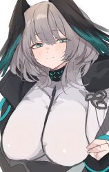 Rule 34 | 1girl, aqua eyes, arknights, black jacket, blush, breasts, chunta, closed mouth, coat, eyelashes, grey hair, hair between eyes, head wings, highres, ho&#039;olheyak (arknights), infection monitor (arknights), jacket, large breasts, looking at viewer, medium hair, one-hour drawing challenge, simple background, smile, solo, upper body, white background, white coat, wings, zipper pull tab