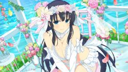 Rule 34 | 1girl, banister, birdcage, black hair, blue eyes, blush, breasts, breasts squeezed together, bridal lingerie, bridal veil, bride, bush, cage, cleavage, day, falling petals, flower, gloves, green flower, green rose, hair flower, hair ornament, ikaruga (senran kagura), jewelry, lace trim, large breasts, leaf, lingerie, long hair, looking at viewer, multicolored flower, multicolored rose, necklace, ocean, official alternate costume, official art, panties, pearl necklace, petals, pink flower, pink rose, purple flower, purple rose, red flower, red rose, rose, senran kagura, senran kagura new link, senran kagura shoujo-tachi no shin&#039;ei, smile, solo, underwear, veil, very long hair, water, white flower, white gloves, white panties, yaegashi nan, yellow flower, yellow rose