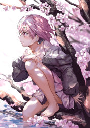 1girl barefoot cherry_blossoms highres jacket knee_up looking_to_the_side mixyuto original red_eyes short_hair solo