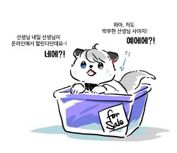 Rule 34 | animal, animal focus, animalization, blue eyes, commentary request, eoduun badaui deungbul-i doeeo, hamkuku sea, hamster, heterochromia, highres, in container, korean commentary, korean text, no humans, open mouth, otter, park moo-hyun, simple background, translation request, white background