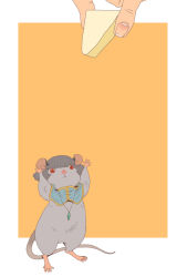 Rule 34 | animal focus, animalization, capelet, cheese, disembodied limb, food, grey hair, jewelry, mouse, mouse (animal), nazrin, nazrin (mouse), necklace, onikobe rin, out of frame, short hair, touhou