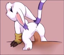 Rule 34 | animal ears, animated, animated gif, cat ears, cat tail, claws, digimon, digimon (creature), ears down, gloves, moaning, reverse cowgirl position, riding, sex, sex from behind, size difference, straddling, tail, tail raised, tailmon