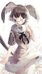 Rule 34 | 1girl, absurdres, ahoge, animal ears (norankkori), black-framed eyewear, black bow, black hair, black ribbon, blush, bow, brown eyes, character request, closed mouth, fictional persona, fur collar, grey hair, head wings, highres, kemono friends, looking at viewer, multicolored hair, ribbon, round eyewear, short hair, short sleeves, smile, solo, swept bangs, thighhighs, two-tone hair, white thighhighs, wings