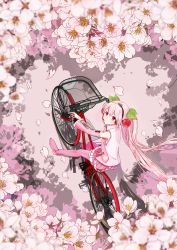 Rule 34 | 1girl, absurdres, bicycle, bicycle basket, blurry, blurry foreground, cherry blossom print, cherry blossoms, cherry hair ornament, commentary, detached sleeves, dot mouth, falling petals, floral print, flower, food-themed hair ornament, from above, hair ornament, hatsune miku, headphones, headset, heart, highres, long hair, looking at viewer, looking up, miniskirt, mofmama, necktie, petals, pink eyes, pink flower, pink footwear, pink hair, pink necktie, pink skirt, pink theme, pink thighhighs, pleated skirt, riding, riding bicycle, sakura miku, shirt, skirt, sleeveless, sleeveless shirt, solo, spring (season), thighhighs, twintails, very long hair, vocaloid, white shirt