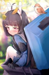 Rule 34 | 1girl, animal ears, binoculars, bird, black gloves, black hair, blue archive, blue serafuku, blue shirt, blue skirt, blunt bangs, blurry, blurry background, blush, closed mouth, commentary, depth of field, embarrassed, fake animal ears, from behind, from side, gloves, halo, highres, hime cut, in container, leaf, leaf on head, long hair, looking at viewer, looking back, mer (mer3in), miyu (blue archive), pantyhose, pout, rabbit ears, raised eyebrows, red eyes, sailor collar, school uniform, serafuku, shirt, sitting, skirt, solo, tearing up, tears, trash can, white pantyhose, white sailor collar