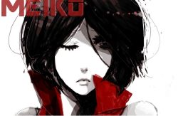 Rule 34 | 1girl, ayumuta, meiko (vocaloid), one eye closed, portrait, red theme, sad, short hair, solo, vocaloid, wink