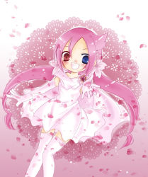 Rule 34 | 10s, 1girl, ahoge, bad id, bad pixiv id, blue eyes, brooch, dress, female focus, gloves, gradient background, happy, heartcatch precure!, heterochromia, jewelry, kaminami10, lace, long hair, magical girl, mugen silhouette, outstretched hand, petals, pink hair, precure, red eyes, scarf, solo, thighhighs, twintails, white gloves, white thighhighs