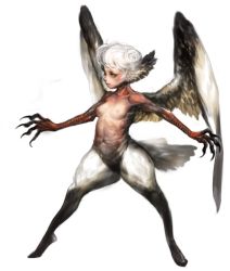 Rule 34 | 1girl, akcho, breasts, claws, feather hair, feathered wings, feathers, harpy, highres, monster girl, original, simple background, small breasts, white feathers, wings