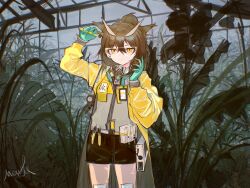 Rule 34 | 1girl, arknights, artist name, black shorts, brown hair, coat, feather hair, geiger counter, gloves, goggles, green gloves, greenhouse, highres, holding vial, indoors, jacket, long sleeves, looking at viewer, mask, mask around neck, menthe, official alternate costume, owl ears, plant, rhine lab logo, safety glasses, see-through pants, short hair, shorts, silence (arknights), silence (lacquer) (arknights), solo, yellow coat, yellow eyes, yellow jacket