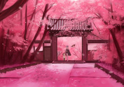 Rule 34 | 1girl, cherry blossoms, dandelaion7, forest, gate, mayoko, nature, pink theme, pixiv fantasia, pixiv fantasia 3, scenery