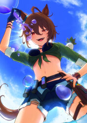 Rule 34 | 1girl, absurdres, agnes tachyon (lunatic lab) (umamusume), agnes tachyon (umamusume), ahoge, animal ears, belt, belt pouch, bikini, black bikini, blue shorts, breast pocket, breasts, brown eyes, brown hair, canister, cleavage, cloud, cloudy sky, commentary request, cowboy shot, criss-cross halter, daikon, ear ornament, flask, green jacket, groin, hair between eyes, halterneck, hand around wrist, highres, horse ears, horse girl, horse tail, jacket, kii-kun (agnes tachyon) (umamusume), leather wrist straps, long sleeves, medium hair, micro shorts, midriff, motion lines, navel, ocean, official alternate costume, official alternate hairstyle, open clothes, open fly, open mouth, open shorts, outdoors, pocket, pouch, pulling, radish, round-bottom flask, short ponytail, shorts, sky, solo, splashing, sweatdrop, swimsuit, tail, textless version, thigh strap, tied jacket, torn clothes, torn shorts, umamusume, wading, wet, wrist straps, yogoto (yo go t)