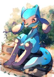 Rule 34 | blue fur, bush, closed mouth, commentary request, creatures (company), furry, game freak, gen 4 pokemon, highres, lxipceluceos5r6, nintendo, outdoors, pokemon, pokemon (creature), red eyes, riolu, sitting, sitting on stairs, stairs, tail, white background