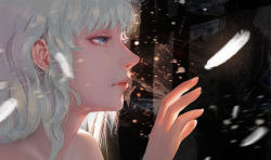 Rule 34 | 1boy, backlighting, berserk, blue eyes, feathers, griffith (berserk), hand up, lips, long hair, looking to the side, male focus, profile, qizhu, solo, white feathers, white hair