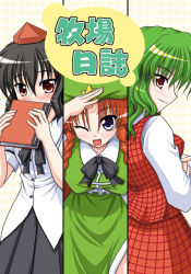 Rule 34 | 3girls, ;d, blush, bococho, book, bow, braid, breasts, brown hair, china dress, chinese clothes, covering face, dress, female focus, green hair, hat, hong meiling, kazami yuuka, large breasts, leaning forward, multiple girls, one eye closed, open mouth, plaid, plaid skirt, plaid vest, pleated skirt, profile, shameimaru aya, short hair, skirt, skirt set, smile, tokin hat, touhou, twin braids, vest