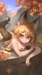 Rule 34 | 1girl, animal ear fluff, animal ears, arm support, autumn, autumn leaves, bathing, blonde hair, blush, closed mouth, collarbone, completely nude, ezo red fox (kemono friends), fox ears, fox girl, fox tail, highres, kemono friends, leaf, long hair, looking at viewer, maple leaf, melaton, nude, onsen, orange eyes, partially submerged, rock, rubber duck, solo, steam, tail, very long hair, water