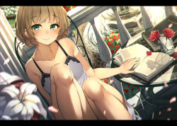 Rule 34 | 1girl, absurdres, bad id, bad pixiv id, bare arms, bare legs, bare shoulders, blurry, blurry foreground, blush, book, brown hair, chair, closed mouth, collarbone, cup, day, depth of field, dress, drinking glass, dutch angle, fingernails, flower, fountain, green eyes, hand up, head tilt, highres, huge filesize, legs up, letterboxed, looking at viewer, open book, original, outdoors, petals, railing, red flower, red rose, rerrere, rose, rose petals, short hair, sitting, sleeveless, sleeveless dress, smile, solo, table, water, white dress, white flower
